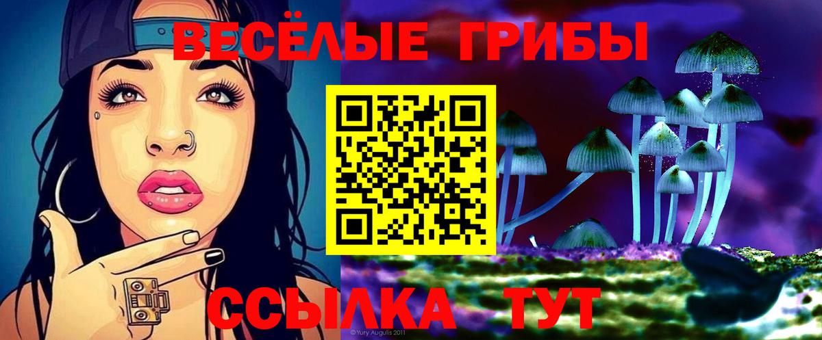 Псилоцибиновые грибы Psilocybe  Вход с VPN  как найти наркотики  Петрозаводск 