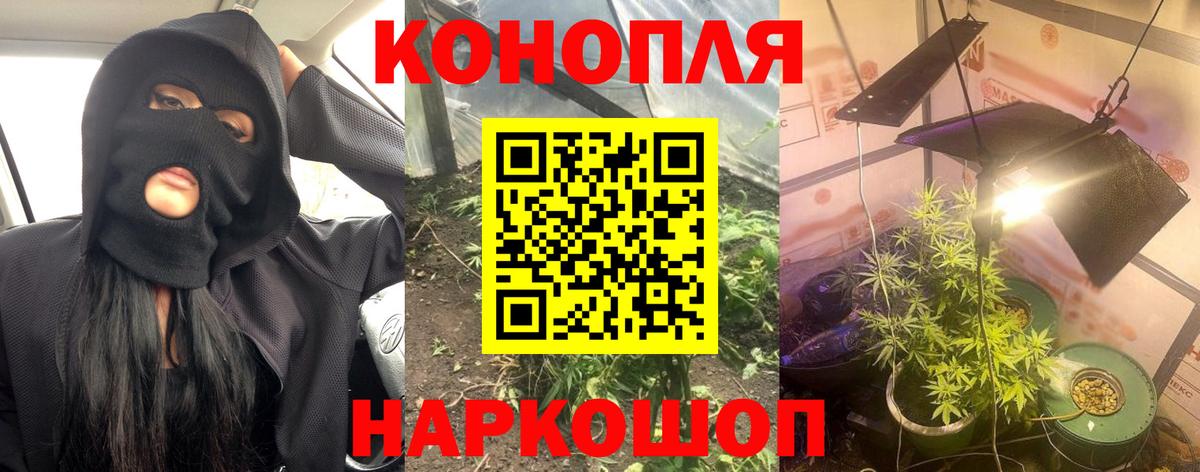 Шишки марихуана SATIVA & INDICA Петрозаводск